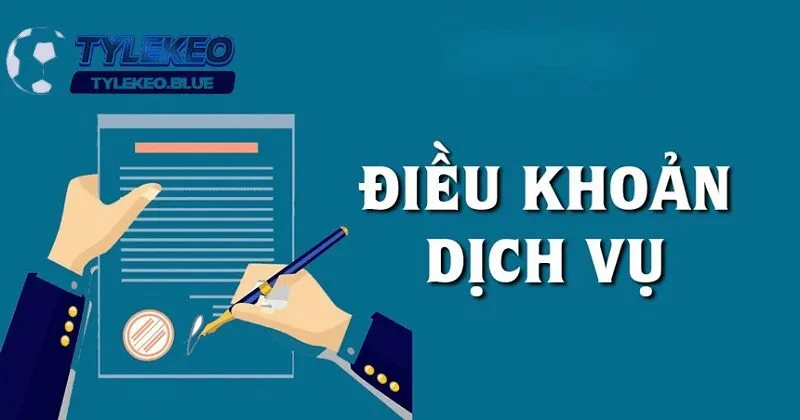 Cập nhật điều khoản và dịch vụ minh bạch - công khai