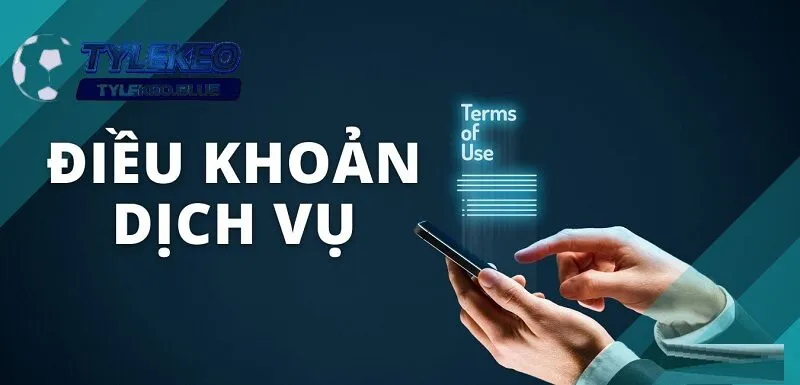 Chấp nhận điều khoản và dịch vụ là bước đầu để có trải nghiệm an toàn