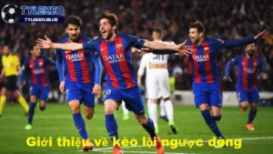 Giới thiệu về kèo lội ngược dòng