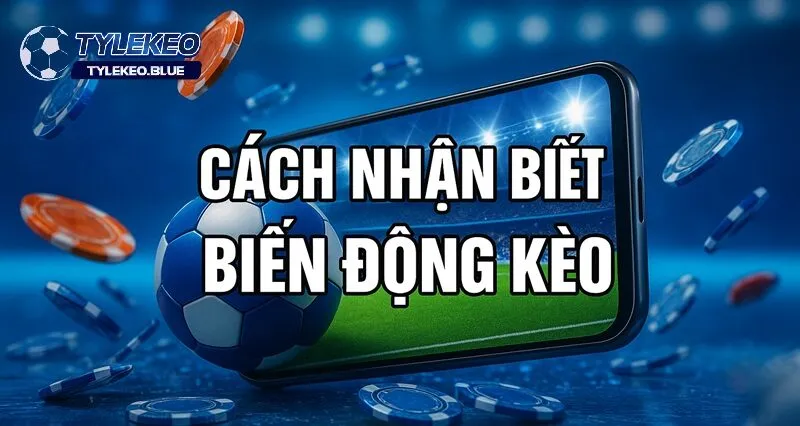 Lý do đằng sau sự biến động tỷ lệ kèo của tỷ lệ nhà cái