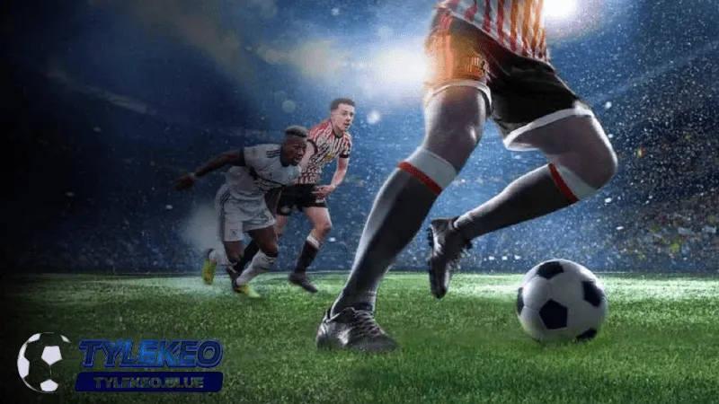 Trang chủ 46 Một vài thông tin quan trọng cho người chơi