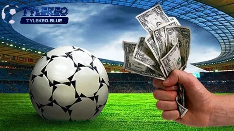 Trang chủ 47 Một vài vấn đề mà người chơi hay mắc phải