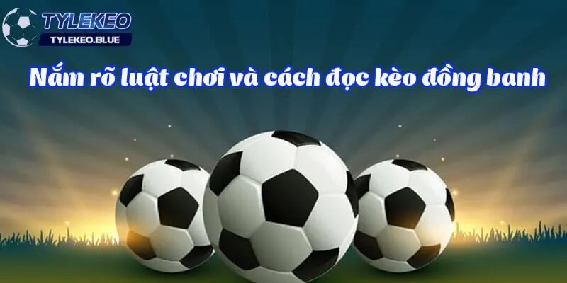 Nắm rõ luật chơi là chiến thuật soi kèo hiệu quả 