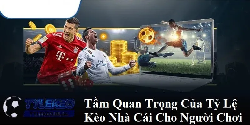 Trang chủ 36 Tầm quan trọng của tỷ lệ nhà cái cho người chơi