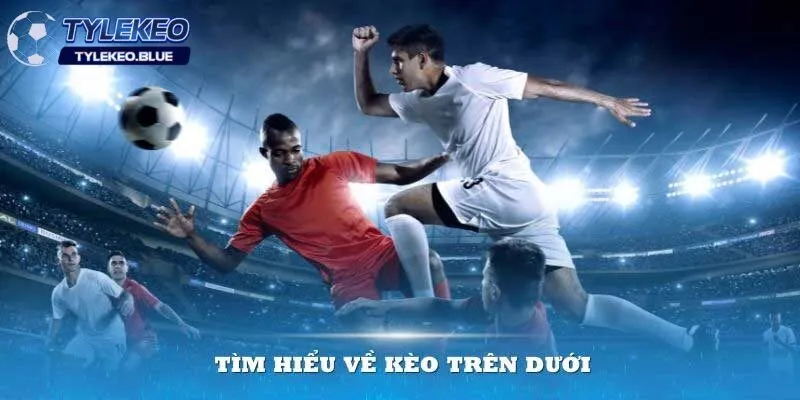 Tìm hiểu về kèo trên kèo dưới là gì?