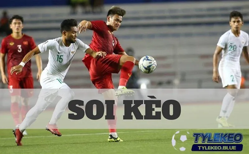 Tổng quan về soi kèo cho người chơi