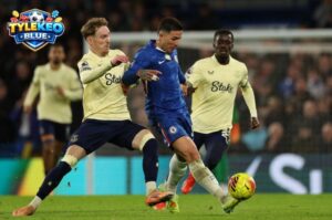 Nhận định từ cao thủ cá cược tỷ lệ kèo nhà cái